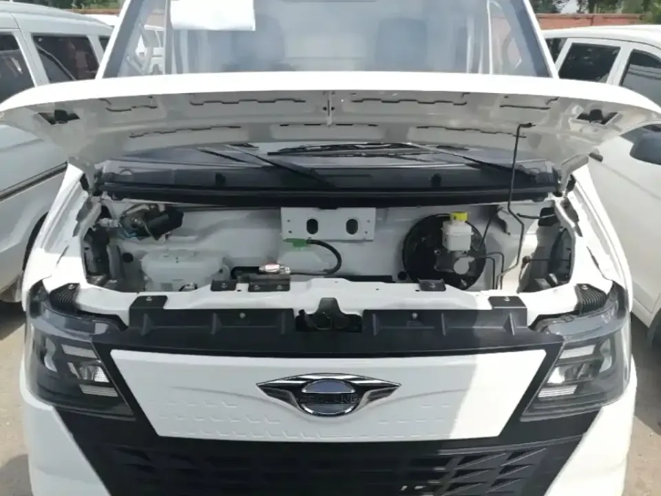 Foton EV6