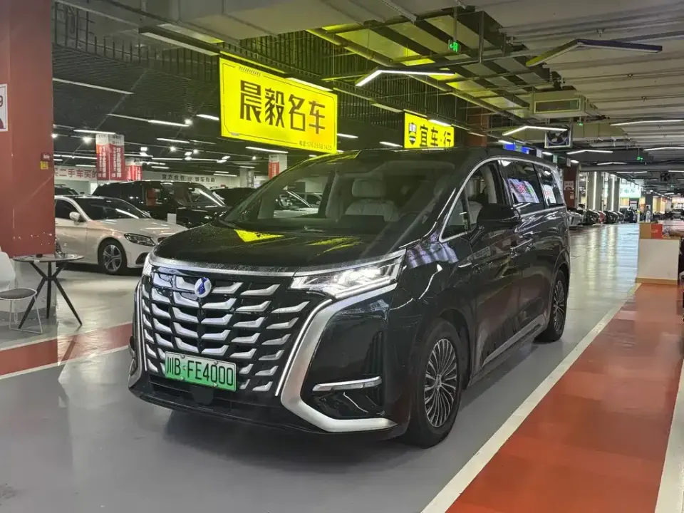 Denza Denza D9