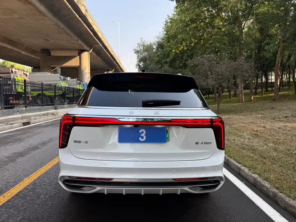 Hongqi Hongqi E-HS9