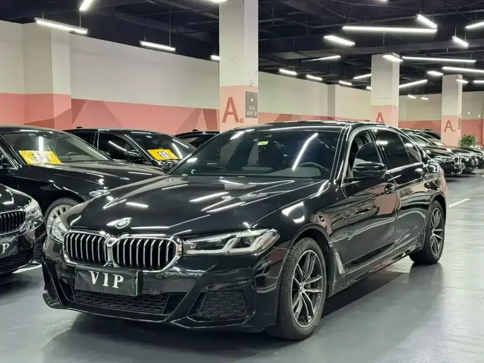 BMW 5 Series New Energy