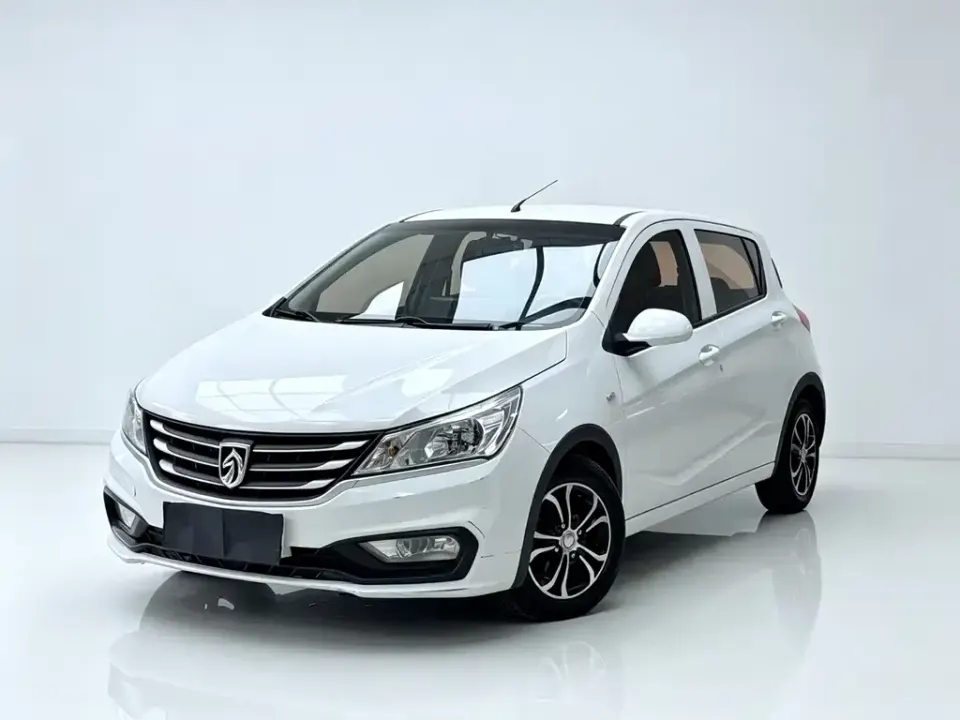 Baojun 310