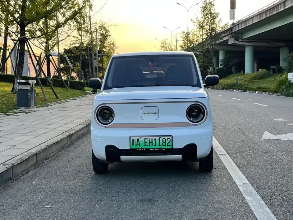 Galaxy Panda