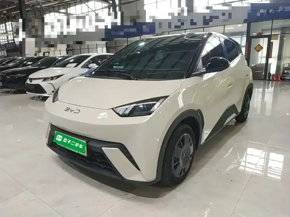 BYD Seagull