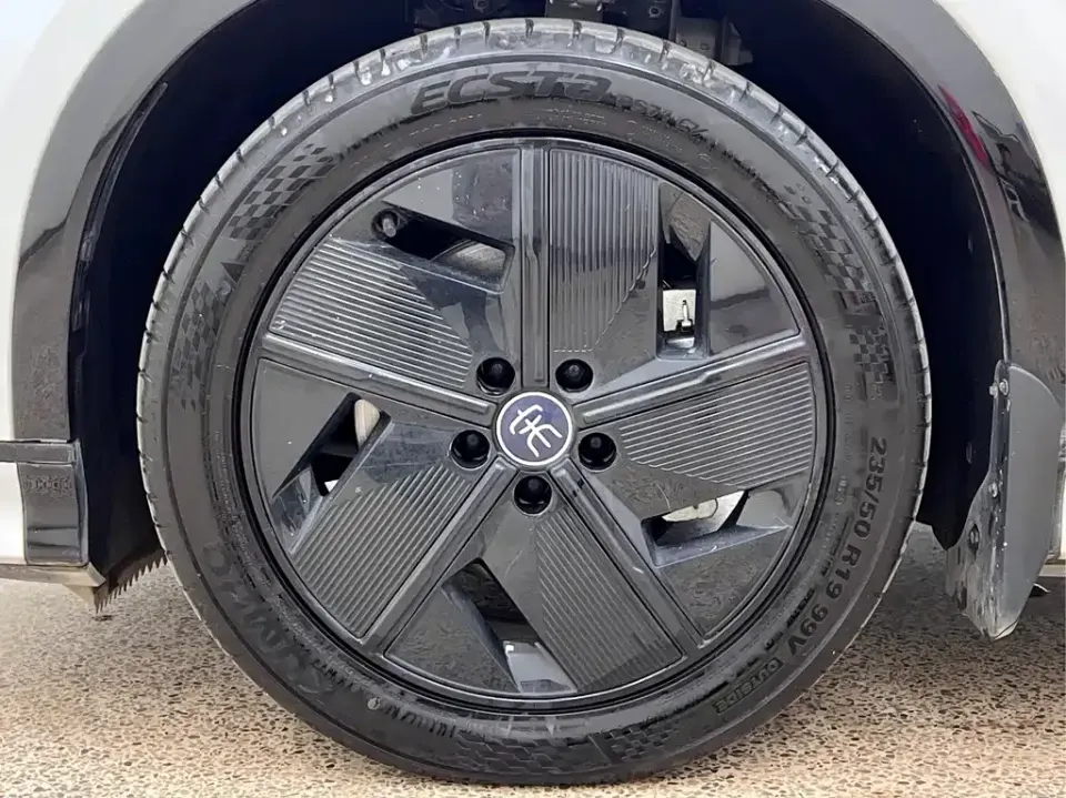 BYD L EV