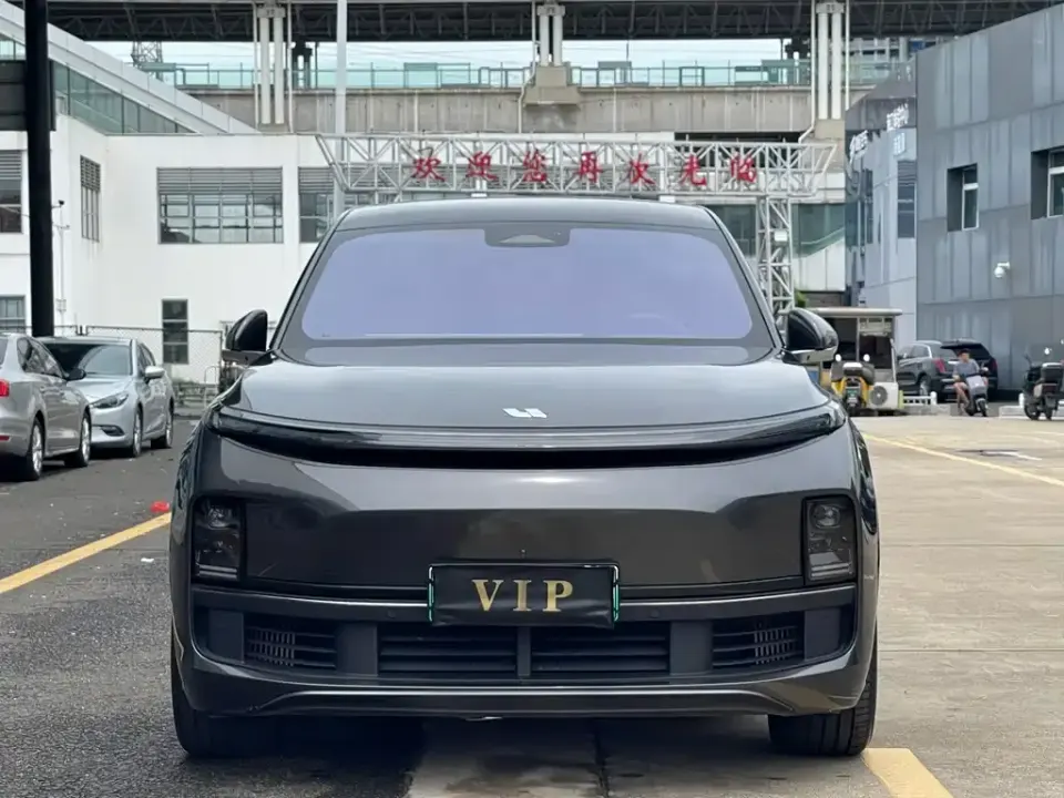 Li Li L8