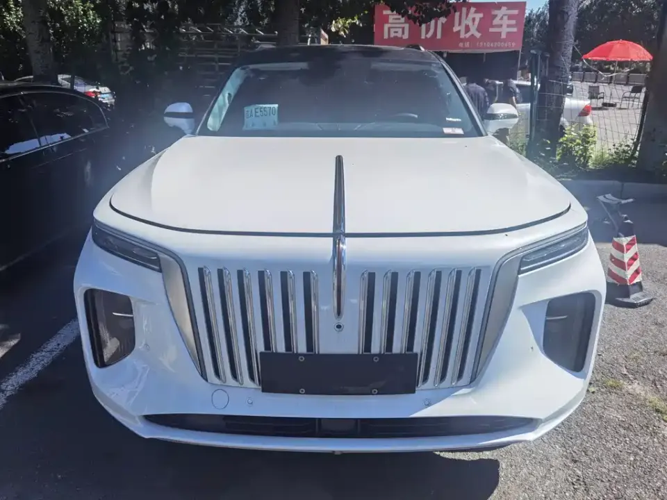 Hongqi Hongqi E-HS9