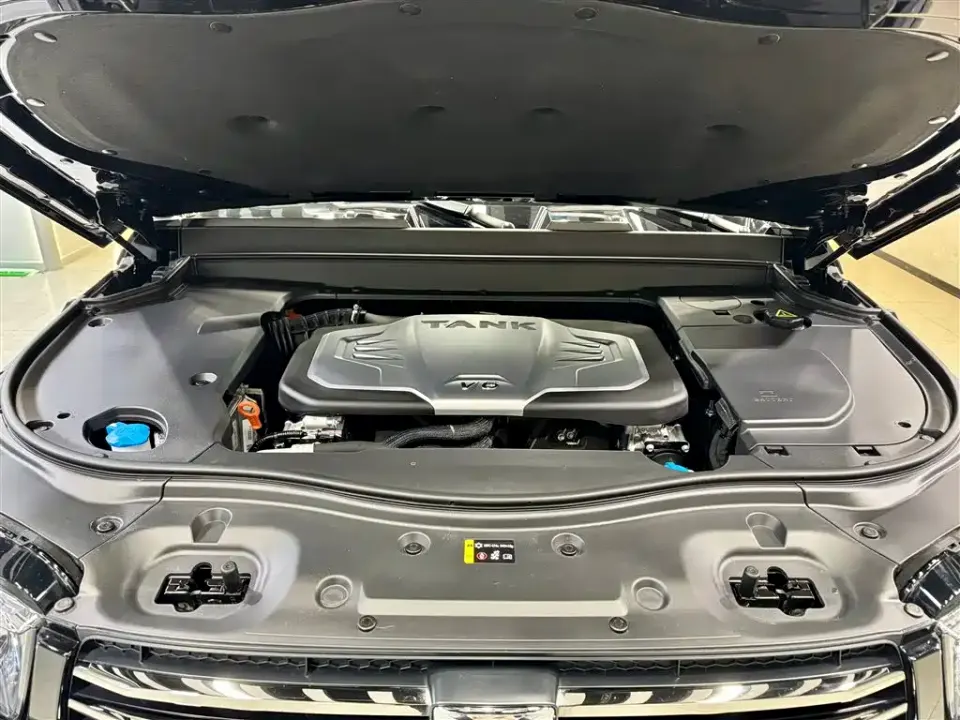 Tank Tank 700 New Energy