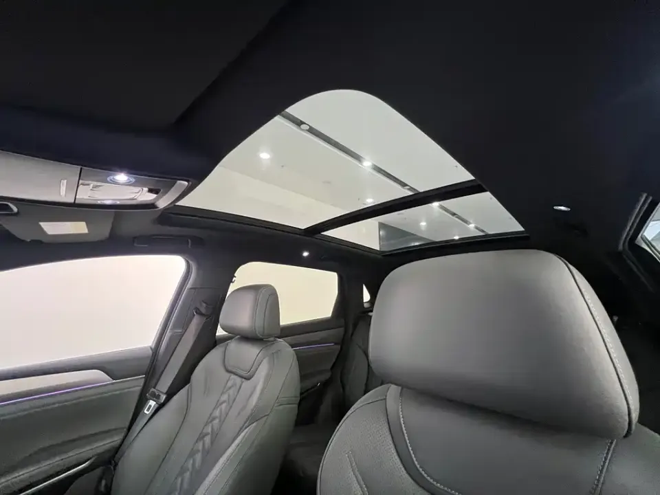 BYD L DM-i