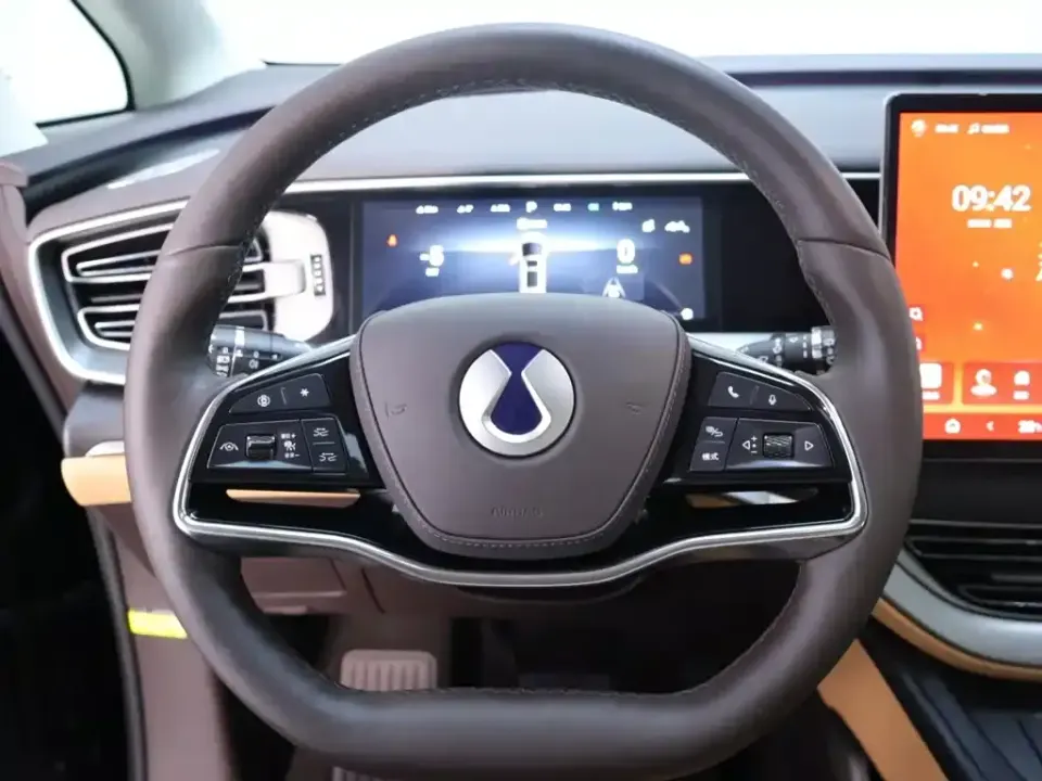 Denza Denza D9
