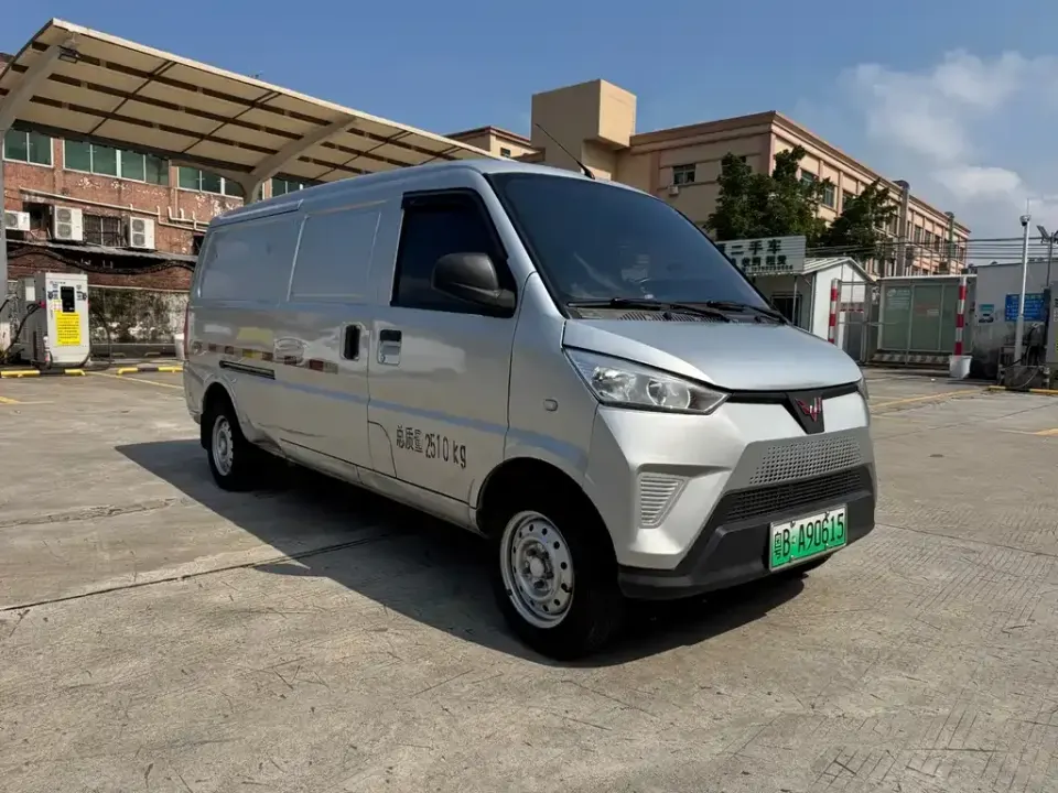 Wuling Wuling EV50