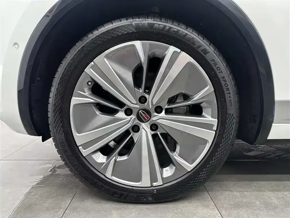 Hongqi Hongqi E-HS9