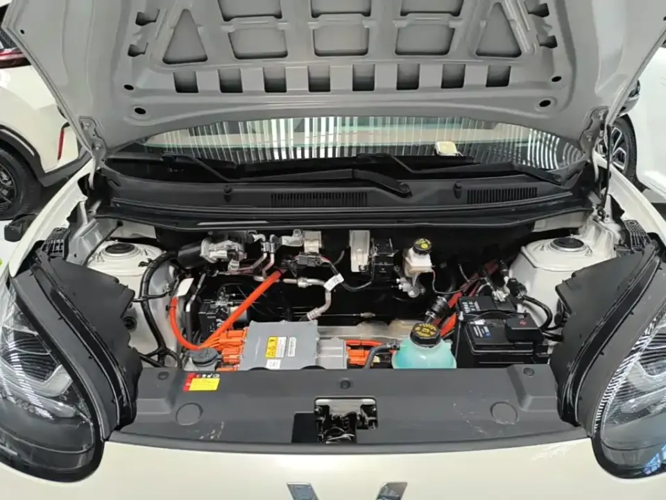 Wuling Bingo