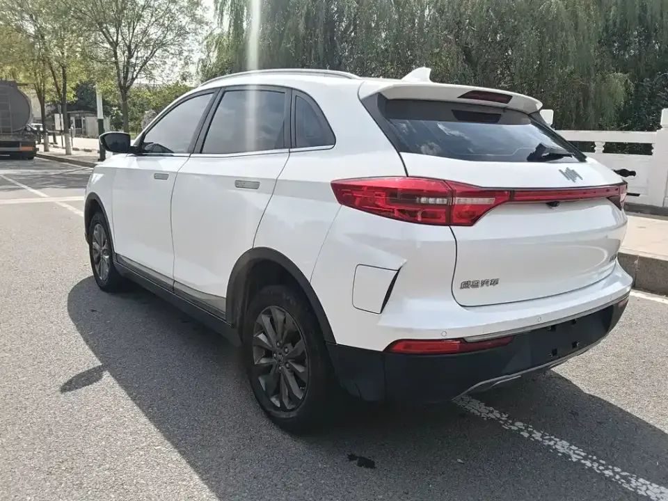 WM Motor EX5