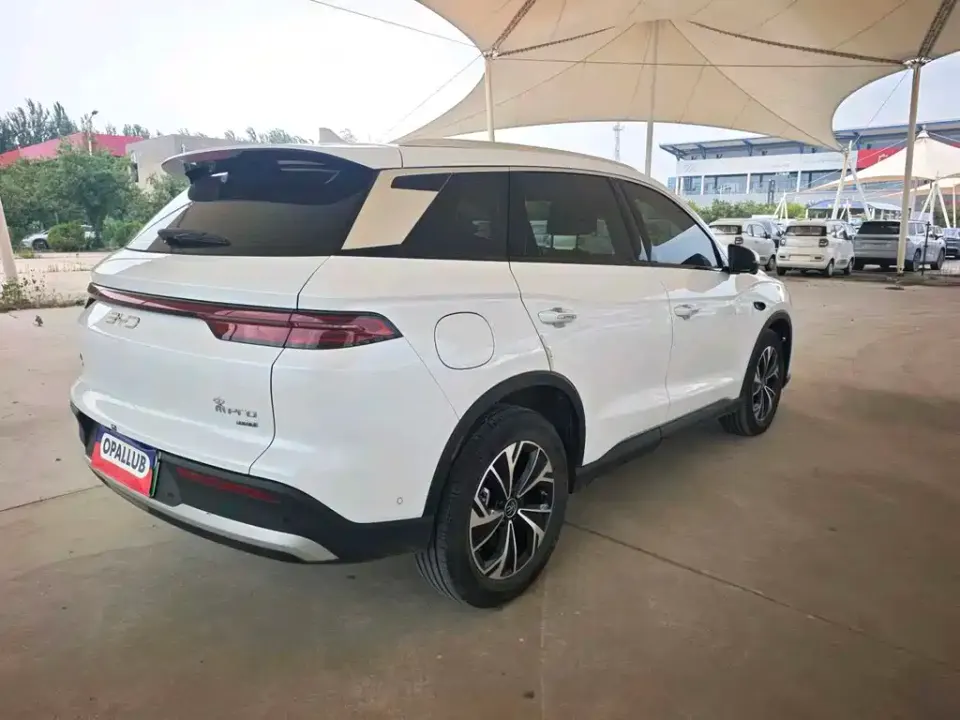 BYD Pro New Energy