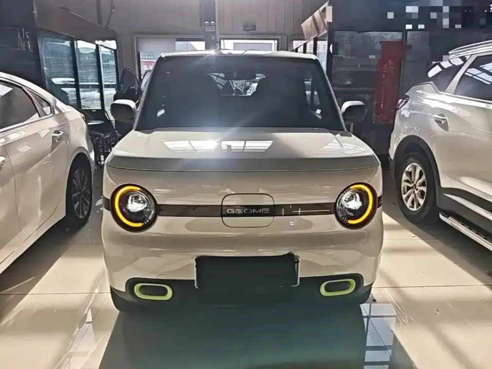 Galaxy Panda
