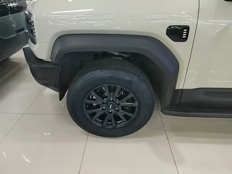 Fang Cheng Bao Leopard 5
