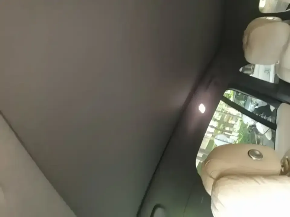Li Li L6