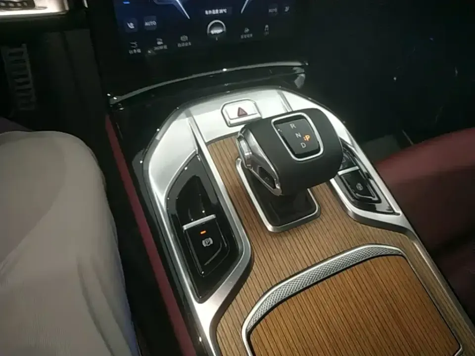 Hongqi Hongqi E-HS9