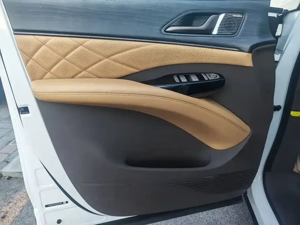 Denza Denza D9
