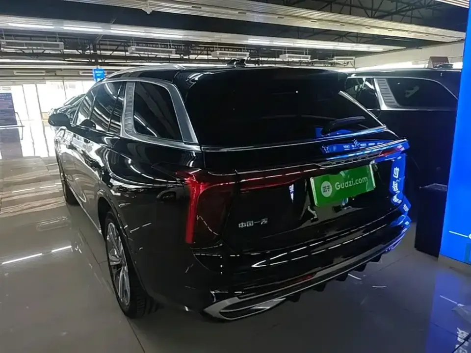 Hongqi Hongqi E-HS9