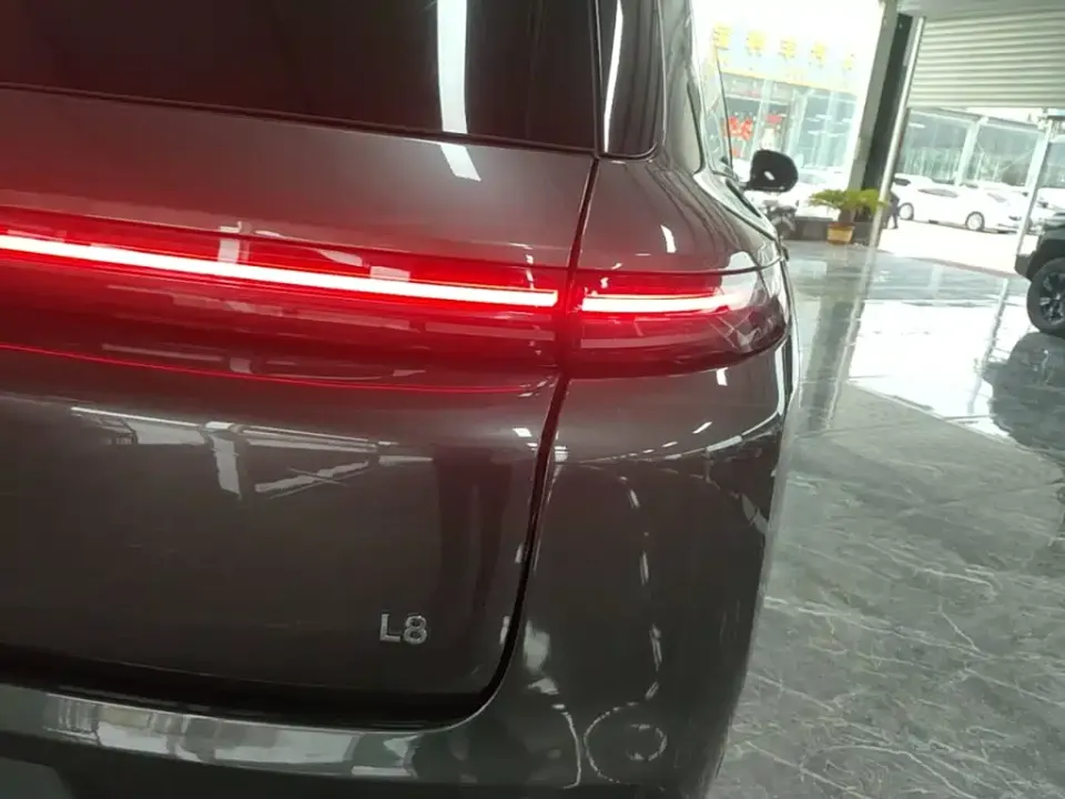 Li Li L8