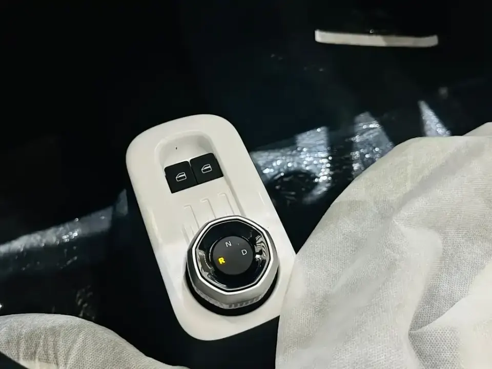 Galaxy Panda