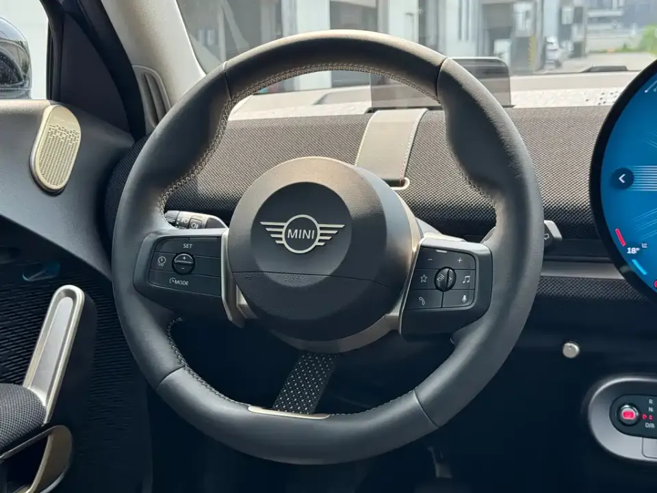 MINI MINI ACEMAN EV
