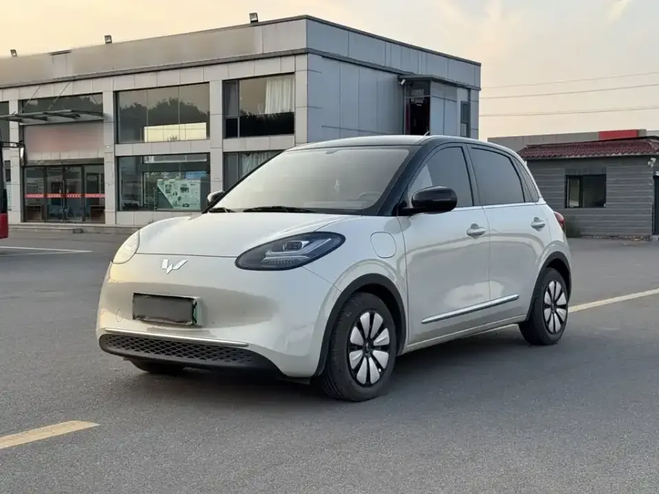 Wuling Bingo