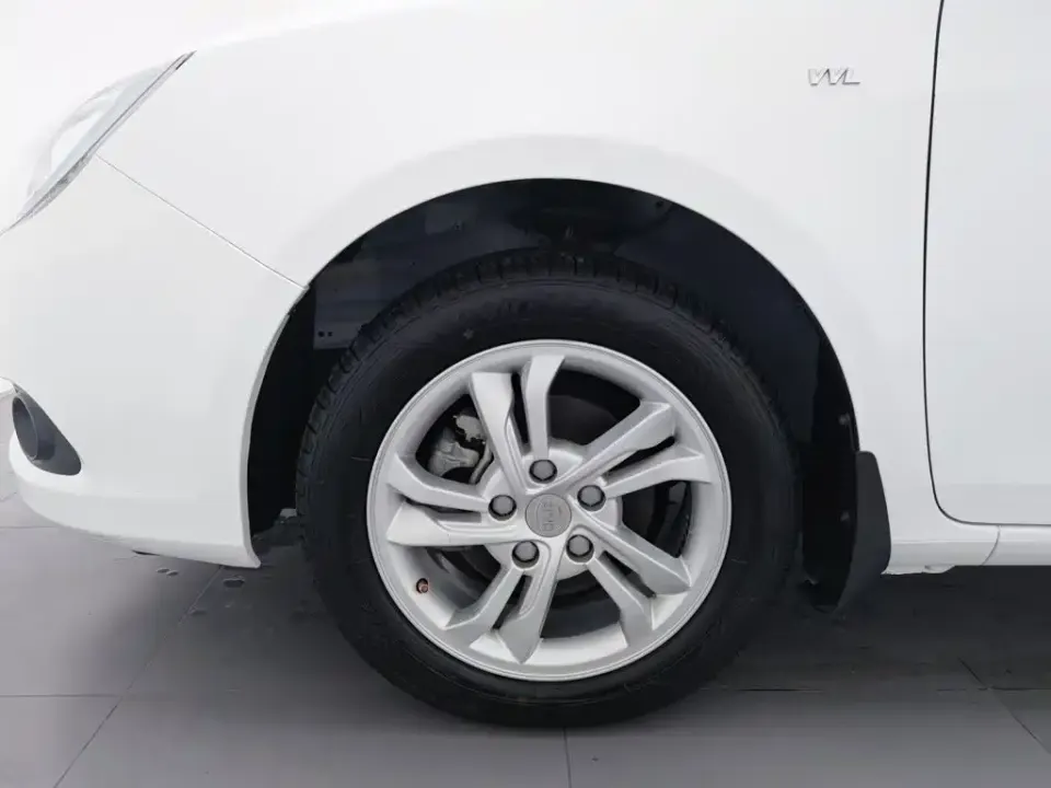 BYD Surui