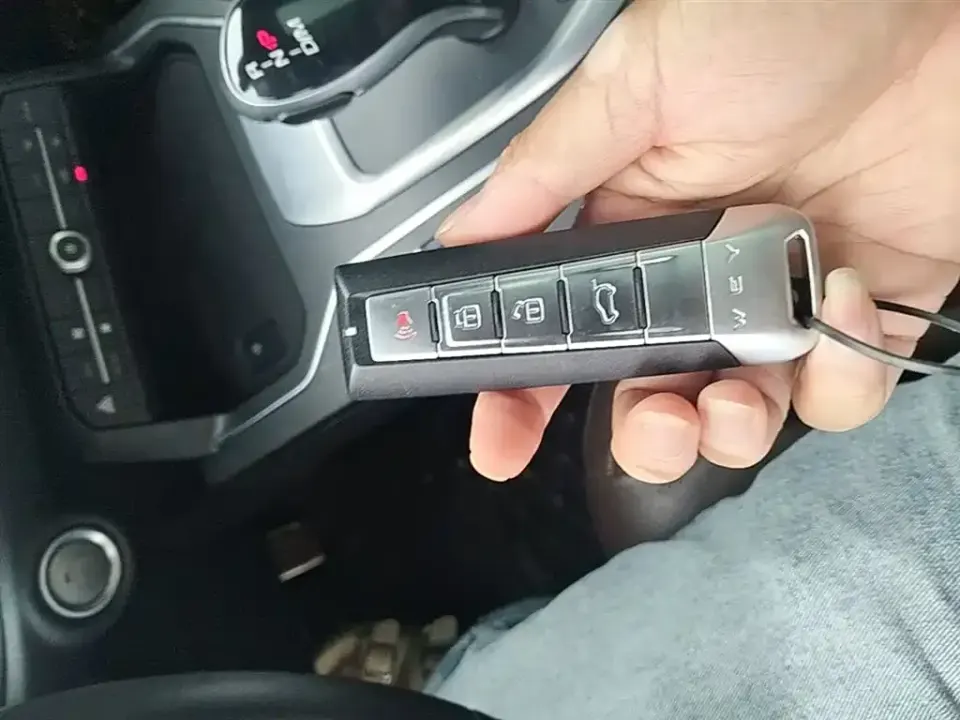 WEY Wey VV6