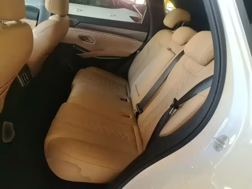BYD L DM-i
