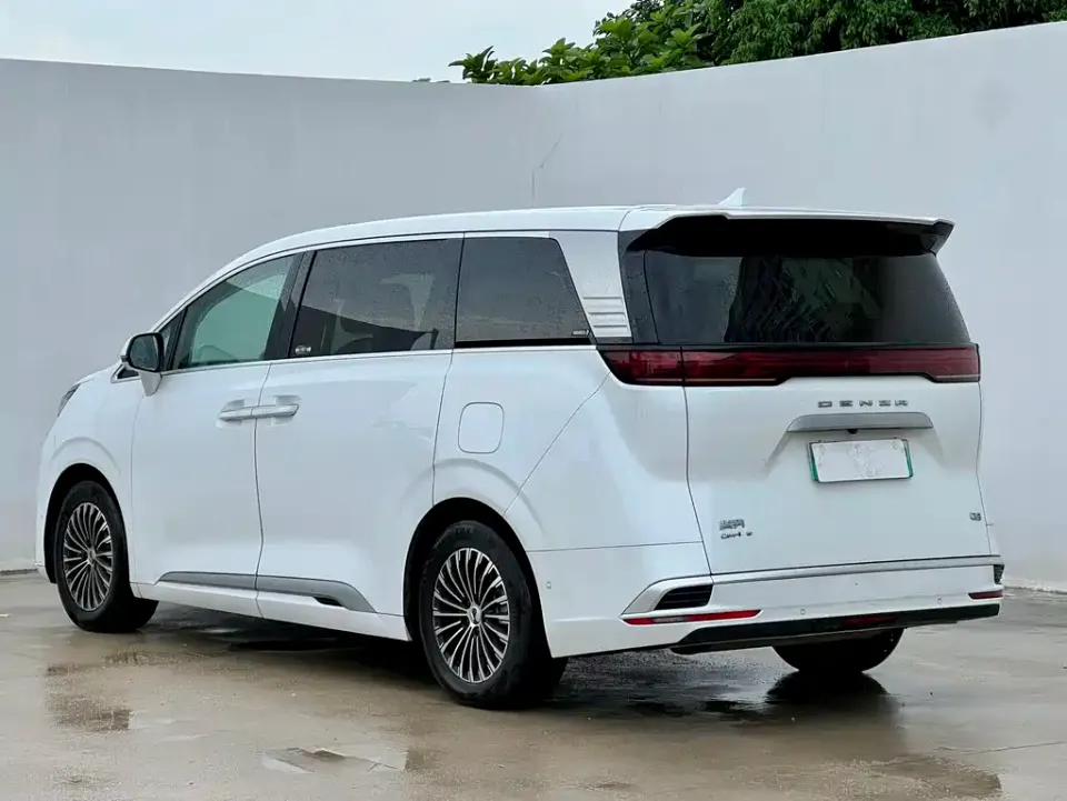 Denza Denza D9