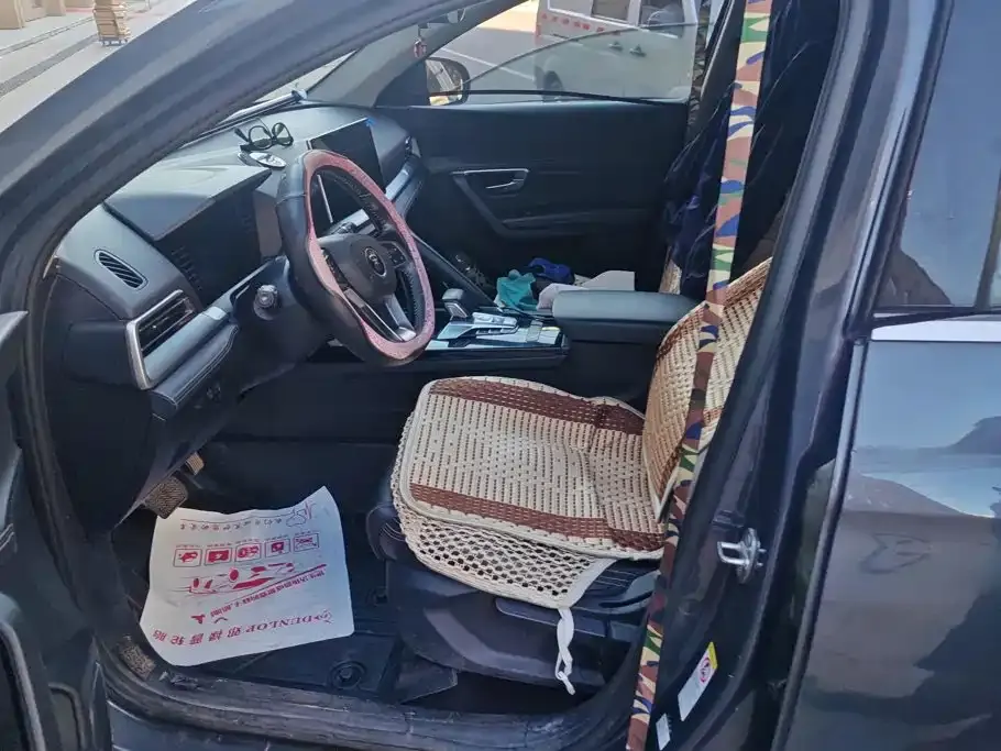 BYD Pro