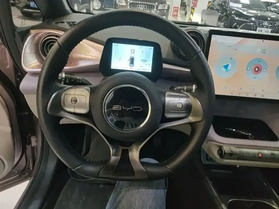 BYD Dolphin