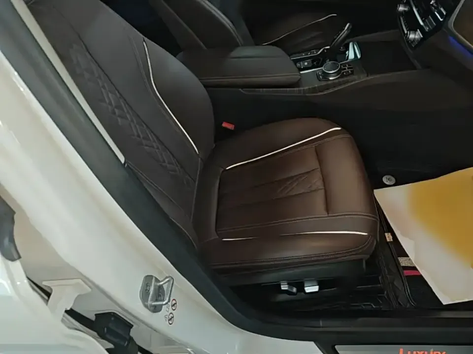 BMW 5 Series New Energy