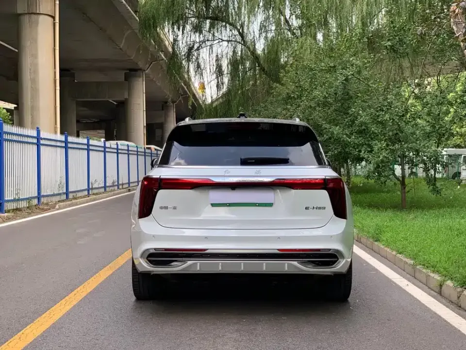 Hongqi Hongqi E-HS9
