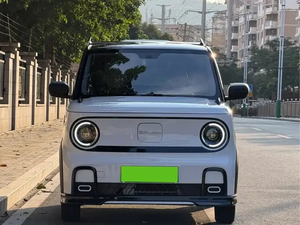 Galaxy Panda