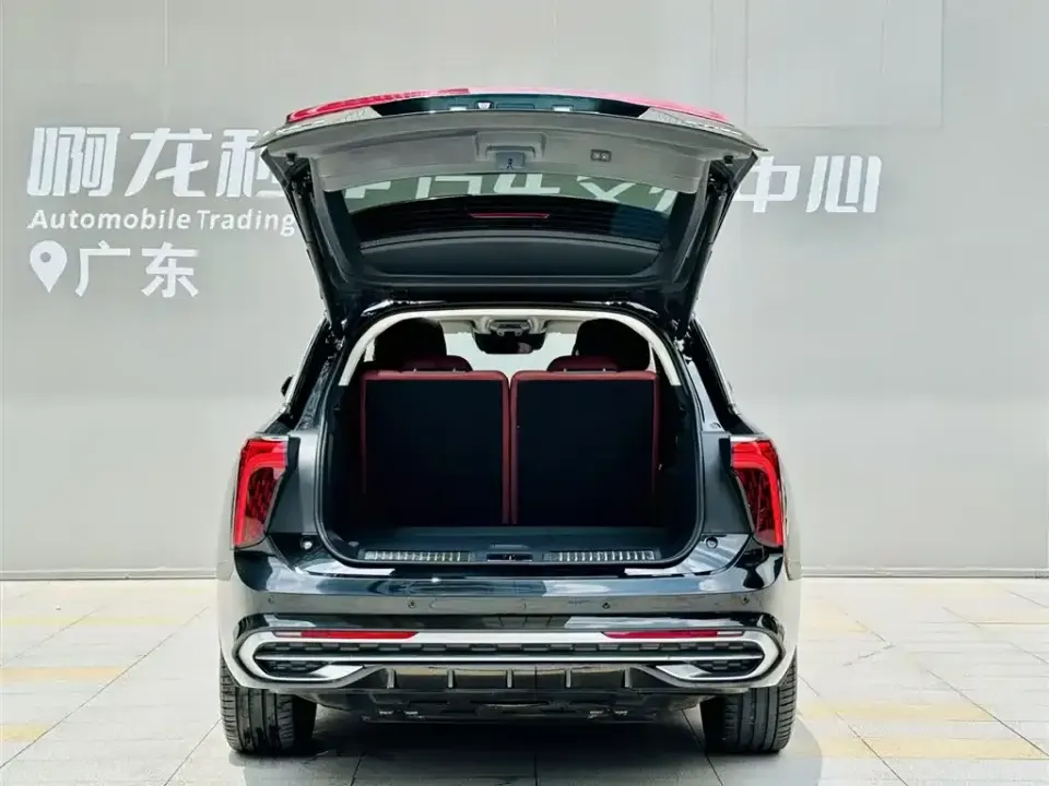 Hongqi Hongqi E-HS9