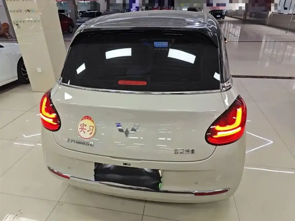 Wuling Bingo