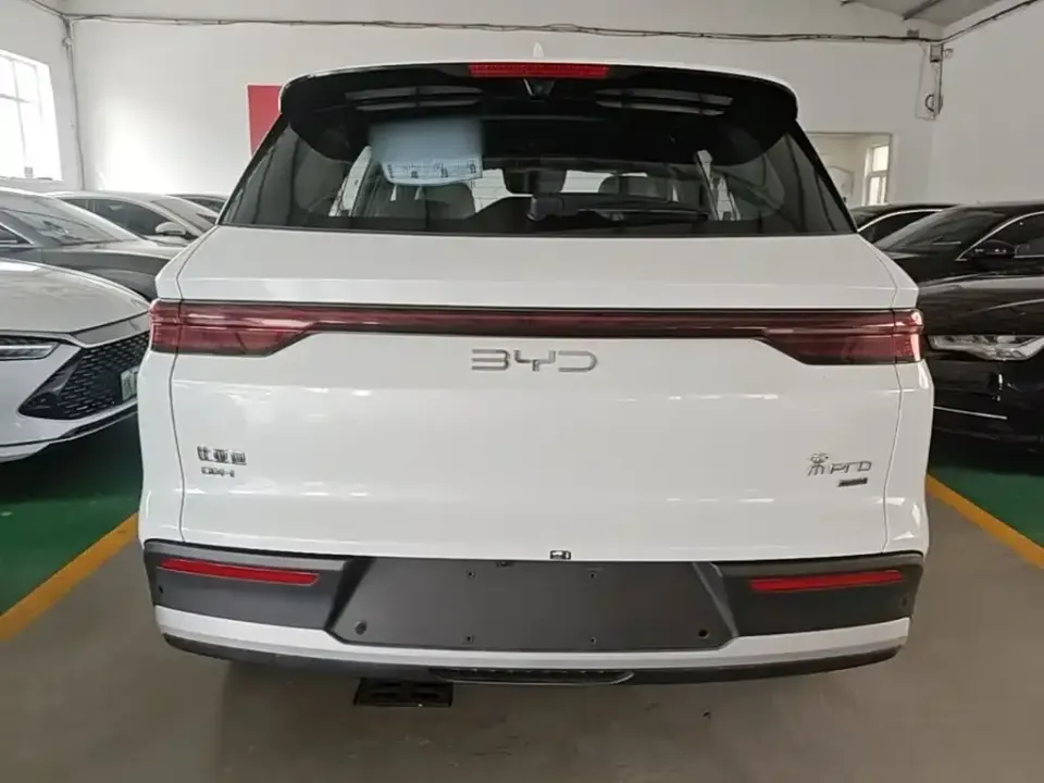 BYD Pro New Energy