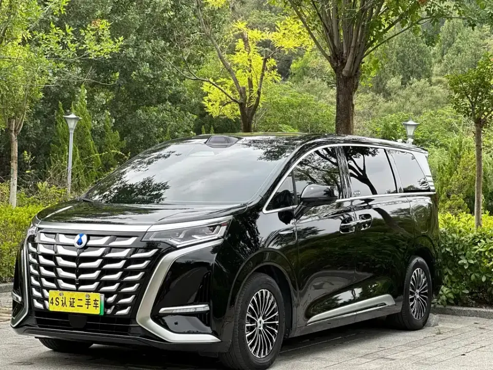 Denza Denza D9