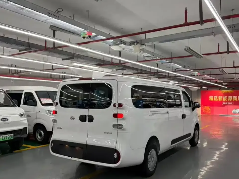 Maxus V1L