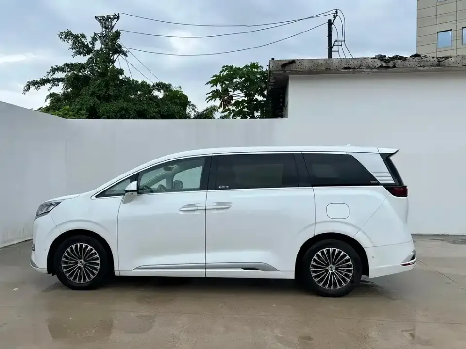 Denza Denza D9