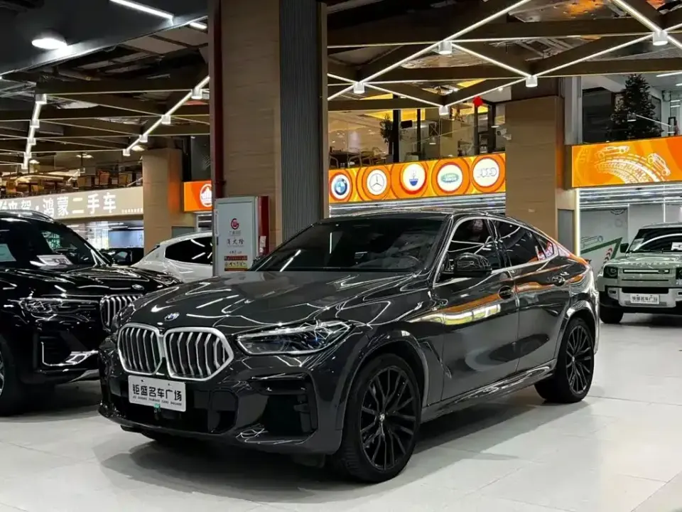 BMW X6