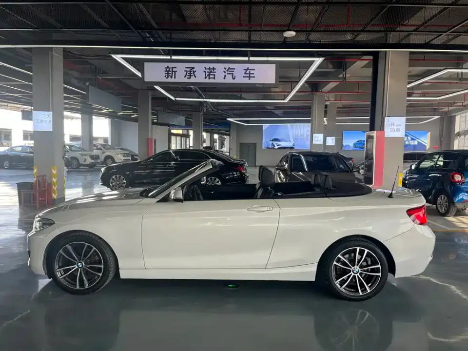 BMW 2 Series (Import)