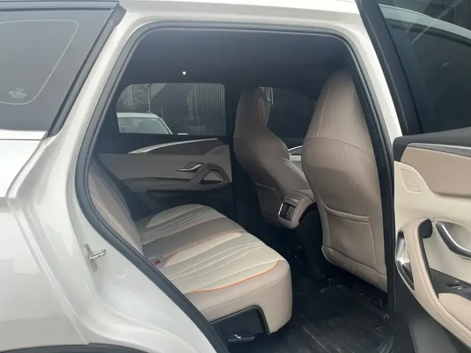 BYD Pro New Energy