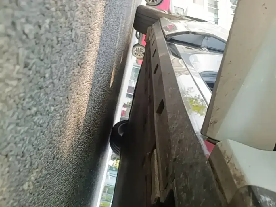 BYD L EV