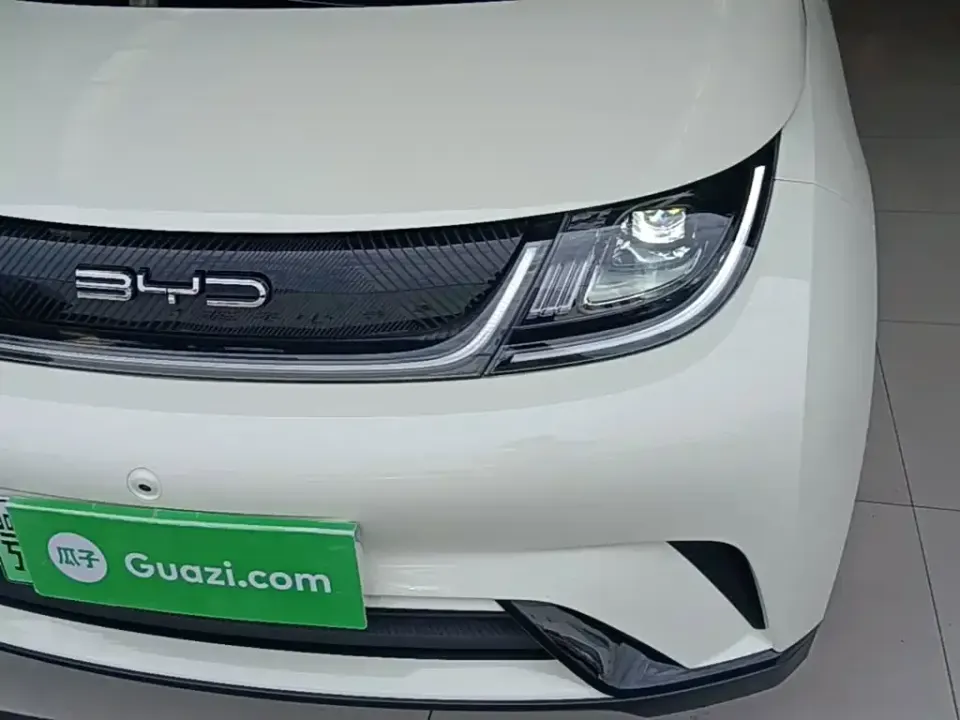 BYD Dolphin
