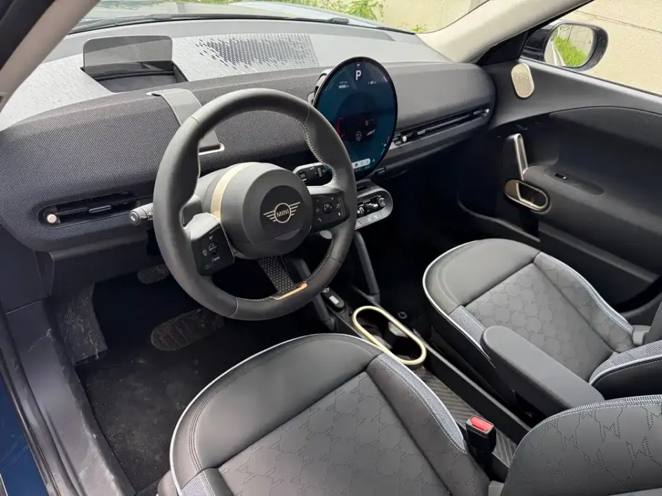 MINI MINI ACEMAN EV