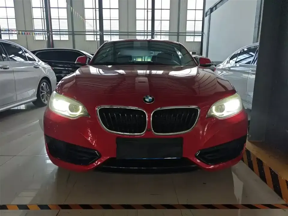 BMW 2 Series (Import)